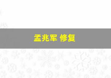 孟兆军 修复